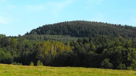 Agroturystyka Zacisze Czarna Owca Brzezanka Exterior foto