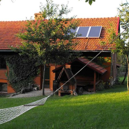 Agroturystyka Zacisze Czarna Owca Brzezanka Exterior foto