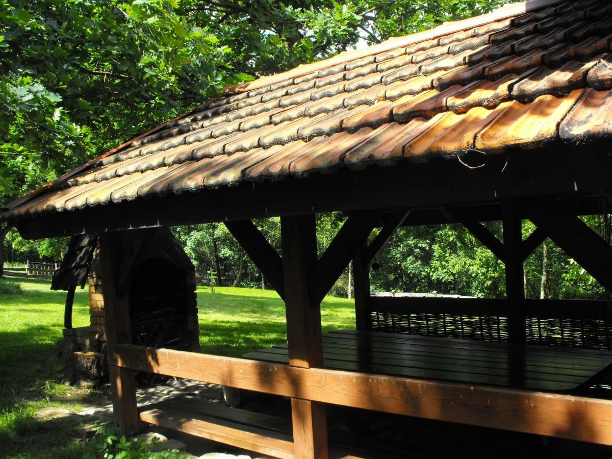 Agroturystyka Zacisze Czarna Owca Brzezanka Exterior foto